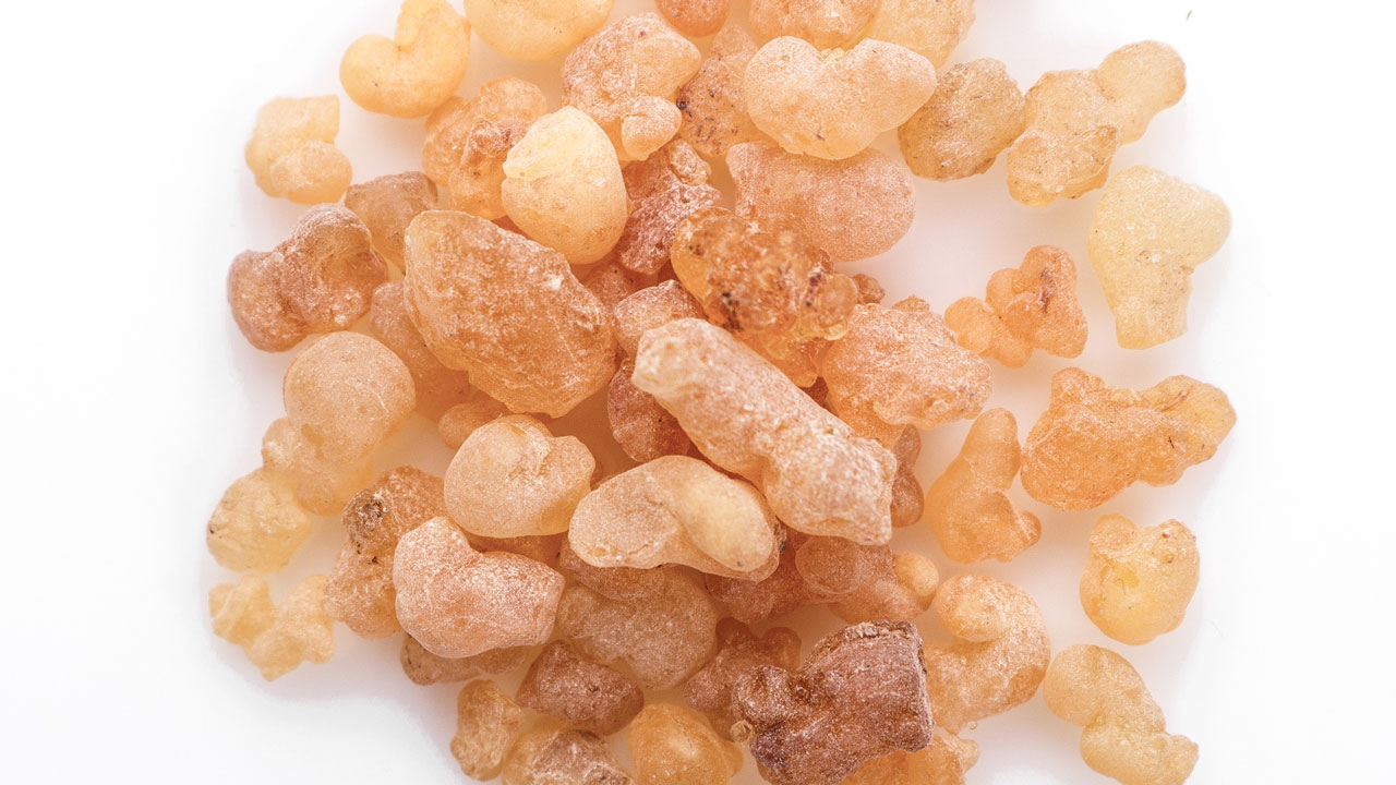 Weihrauch Kapseln mit hohem Boswelliasäure-Anteil kaufen Weihrauch Kapseln mit hohem Boswelliasäure-Anteil kaufen